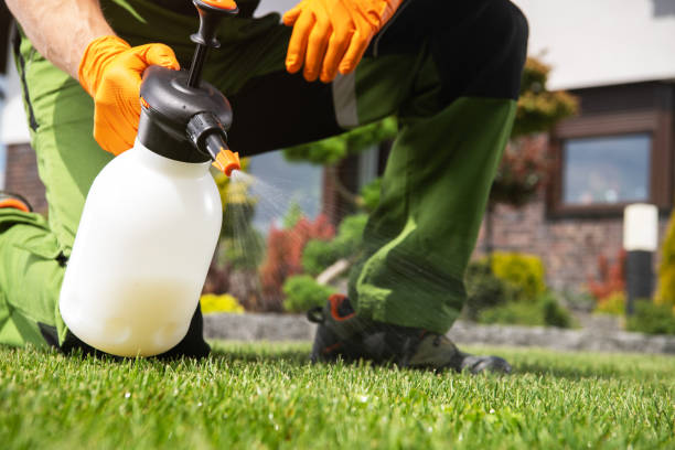 Best Best Pest Control Companies  in Livermore, CA