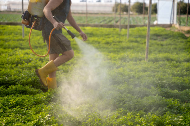 Best Emergency Pest Control  in Livermore, CA