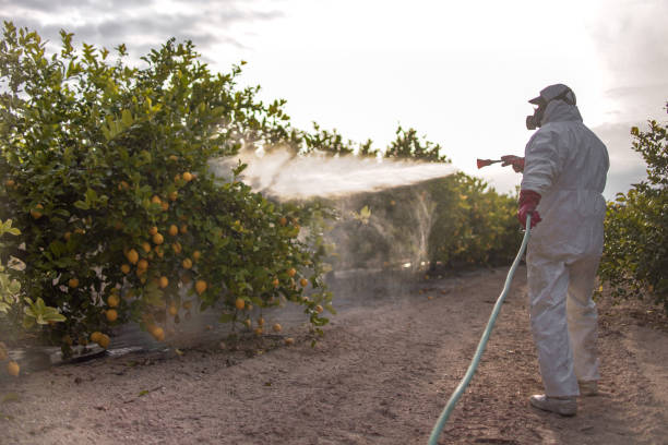 Best Affordable Pest Control Services  in Livermore, CA