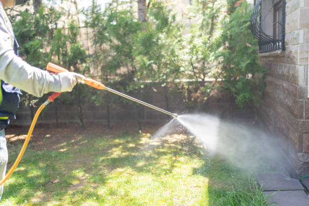 Best Residential Pest Control  in Livermore, CA